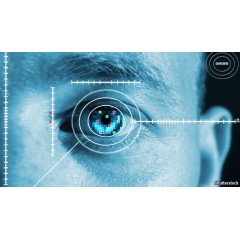 IRIS Cognition System/Retina Scan
